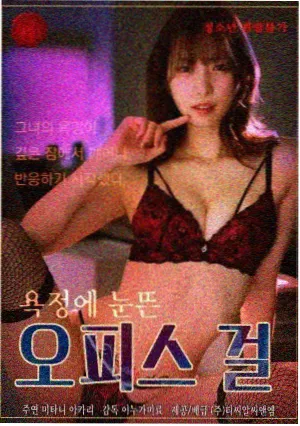 婉君电视剧国语版免费看